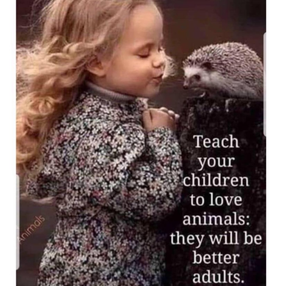 Meet your Posher, Shannon